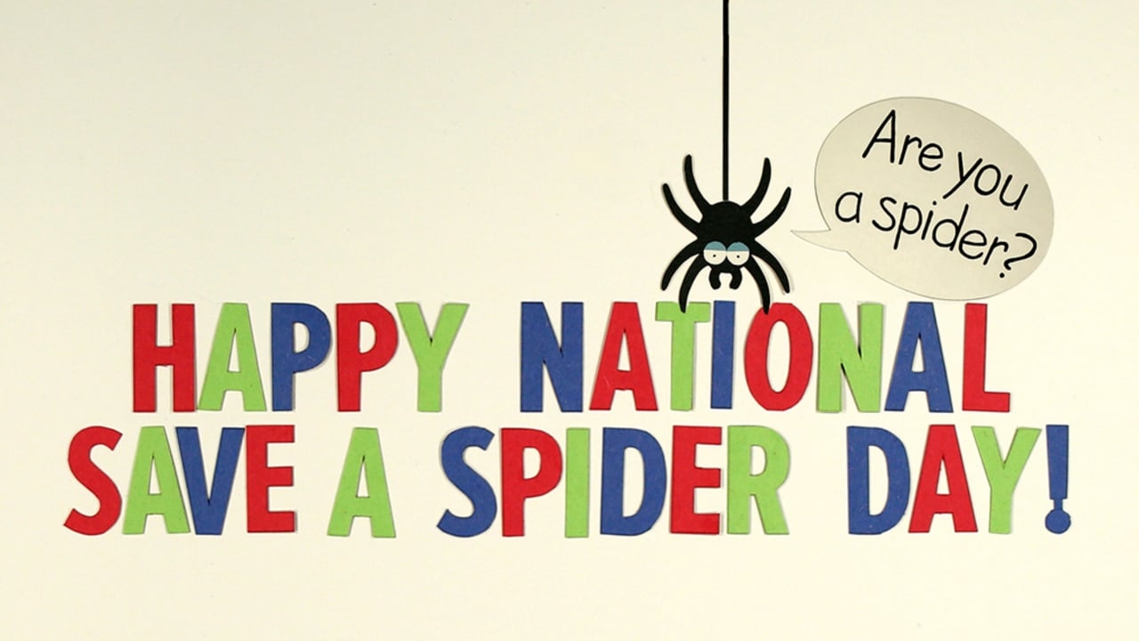 National Save A Spider Day 2019 Qualads