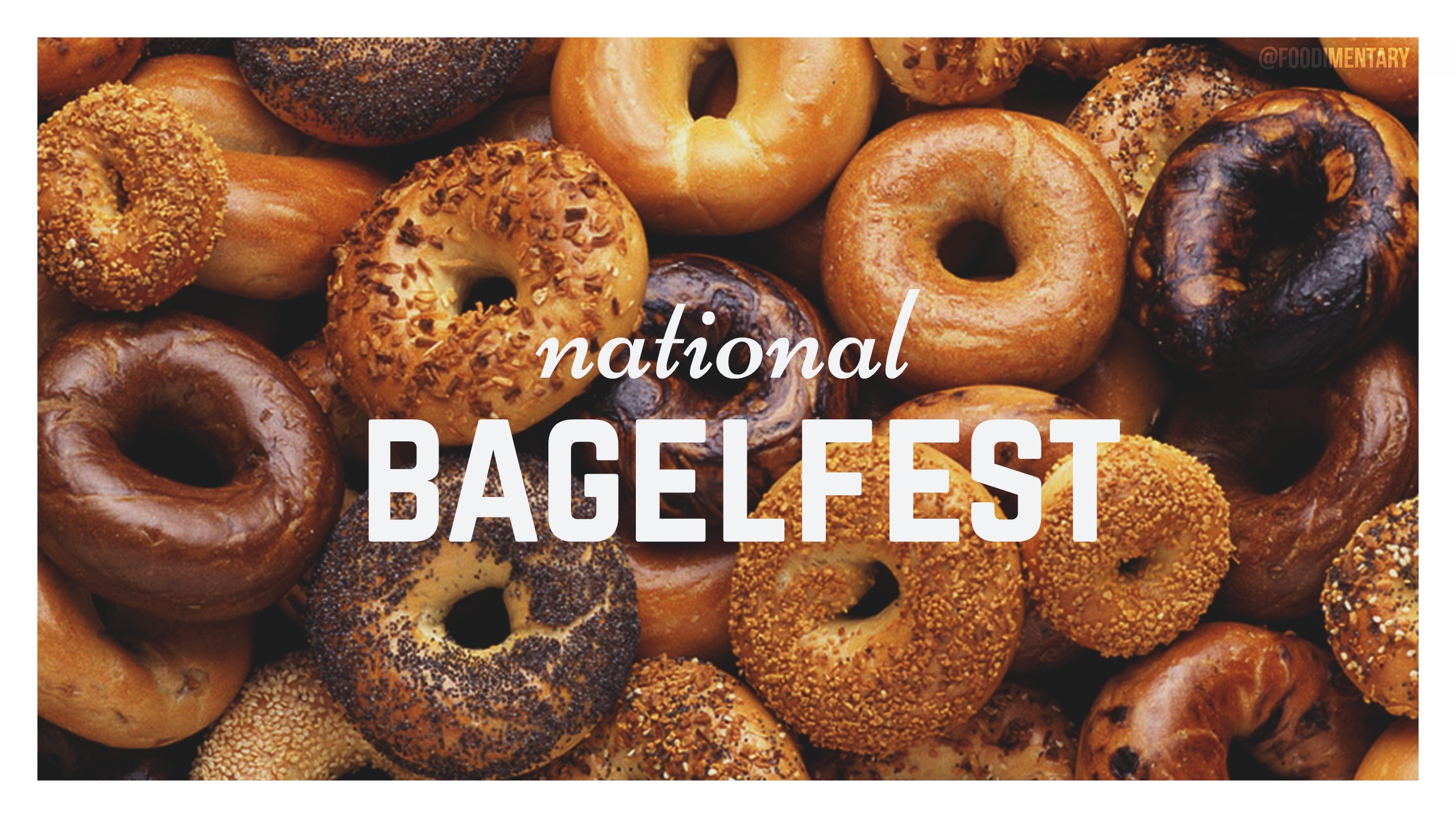 National Bagelfest Day 2019 Qualads