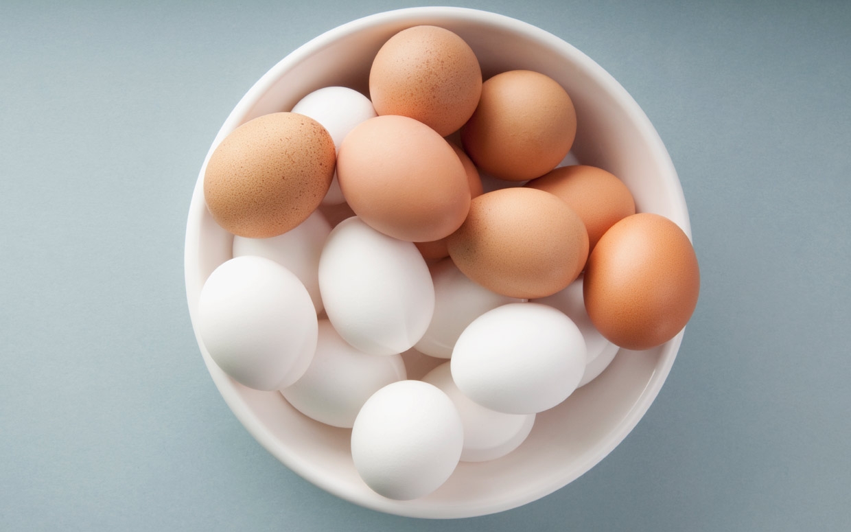 National Egg Day 2019 Qualads