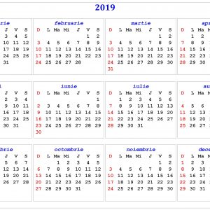 2019 Calendar Printable Calendar 2019 Calendar In Multiple Colors