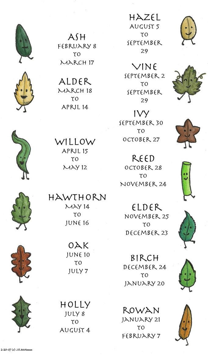 Celtic Tree Calendar Here Is A Good Chart For The Celtic Lunar