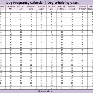 Dog Pregnancy Calendar Dog Due Date Calendar