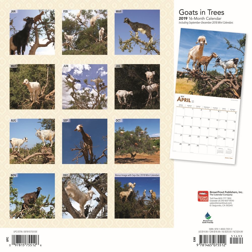 Goats In Trees 2019 Wall Calendar Calendars 