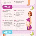 Guide To Pregnancy Week Week Infographic Tips Pinterest