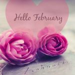 Love Card Mobile Wallpaper Hello February 2016 Wwwquotespics