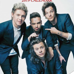 One Direction Calendar 2019 Unofficial Ebay