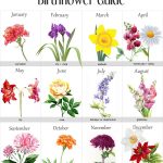 Pin B Ret On Tattoo Ideas Pinterest Birth Flower Tattoos