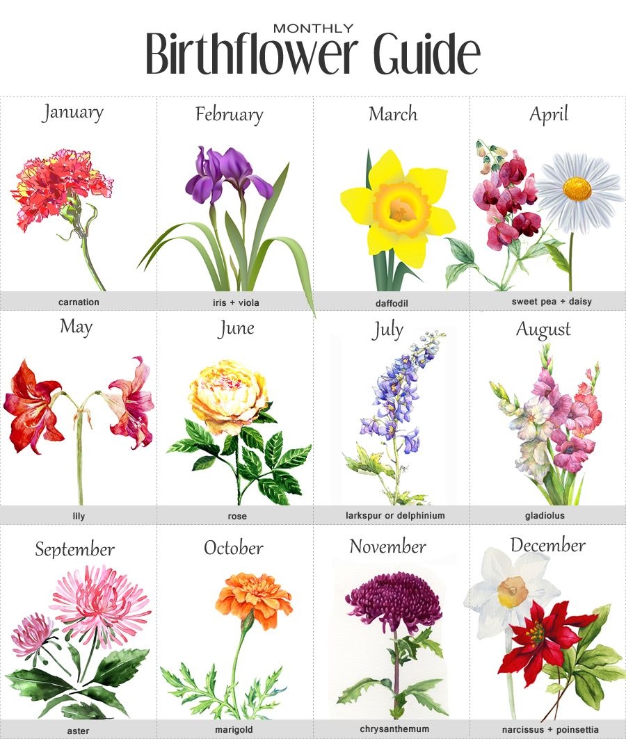 Pin B Ret On Tattoo Ideas Pinterest Birth Flower Tattoos 