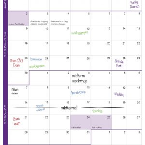 Semester Calendar Lsu Center For Academic Success