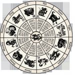 The Race Of The Twelve What Your Chinese Zodiac Animal Means For