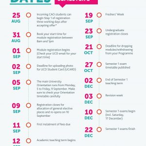 Ucd 20graduate 20studies 20structured 20phd 20diagram 10 Ucd