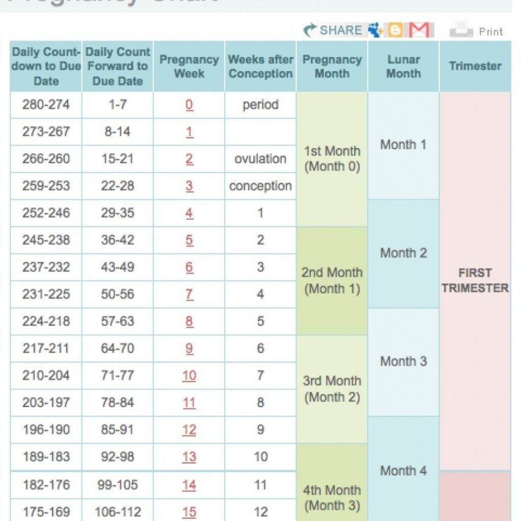 Free Printable Pregnancy Calendar Pregnancy Calendar Day Day