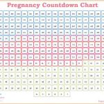 Pregnancy Calendar Week Week Blank Calendar Template