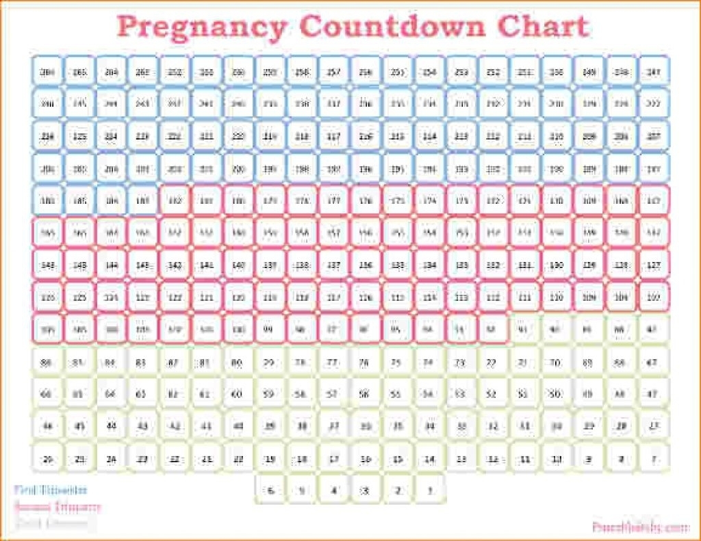 Pregnancy Calendar Week Week Blank Calendar Template 