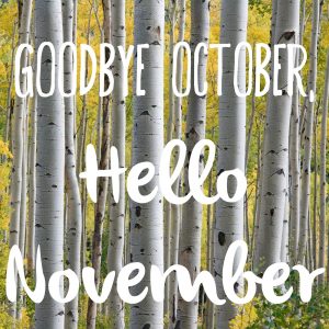 Goode October Hello November The Girl Who Loved To Write About