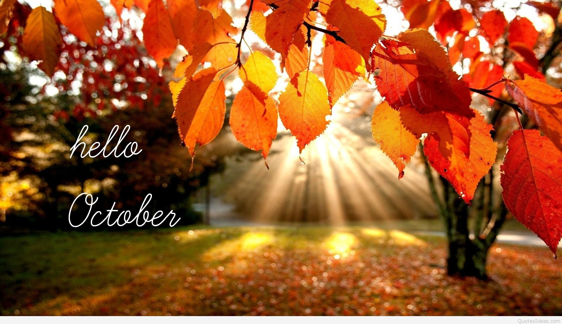 50 Hello October Images And Pictures