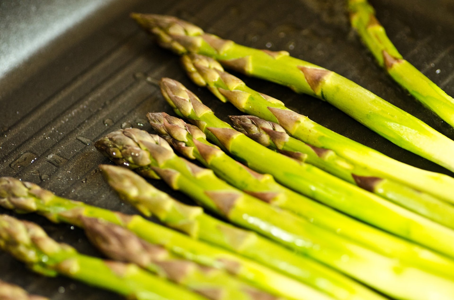 Asparagus Season In Germany 2019 Rove