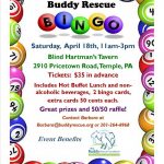 Bingo Flyer Template Google Search Bingo Flyers Bingo Bingo