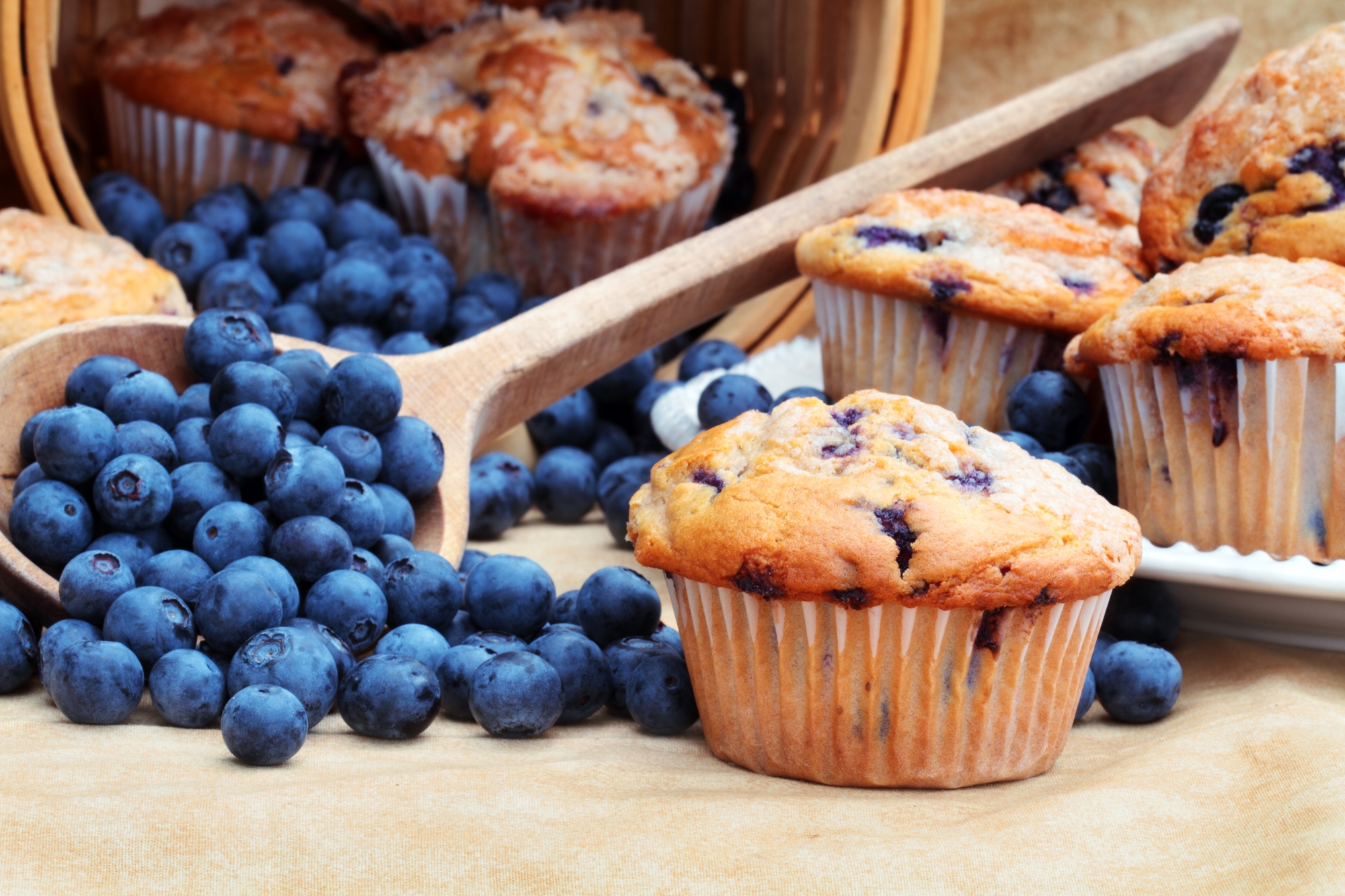 Blueberry Muffin Day Days Of The Year 