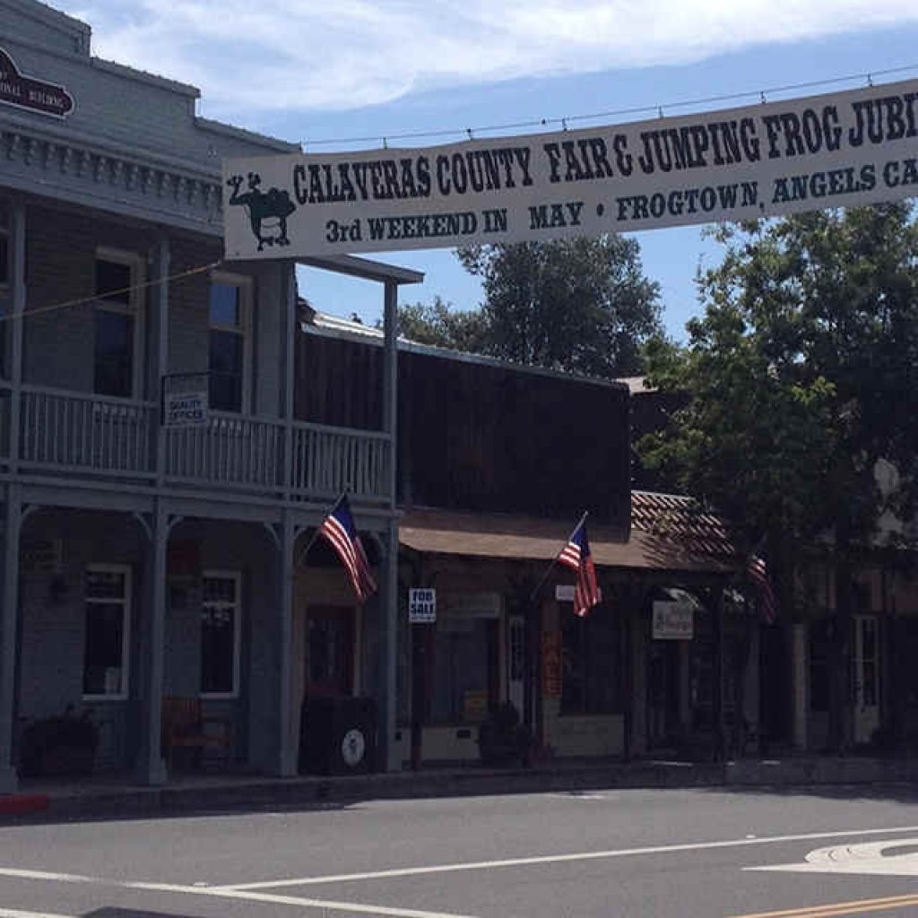 Calaveras County Fair Frog Jump Jubilee Visit California