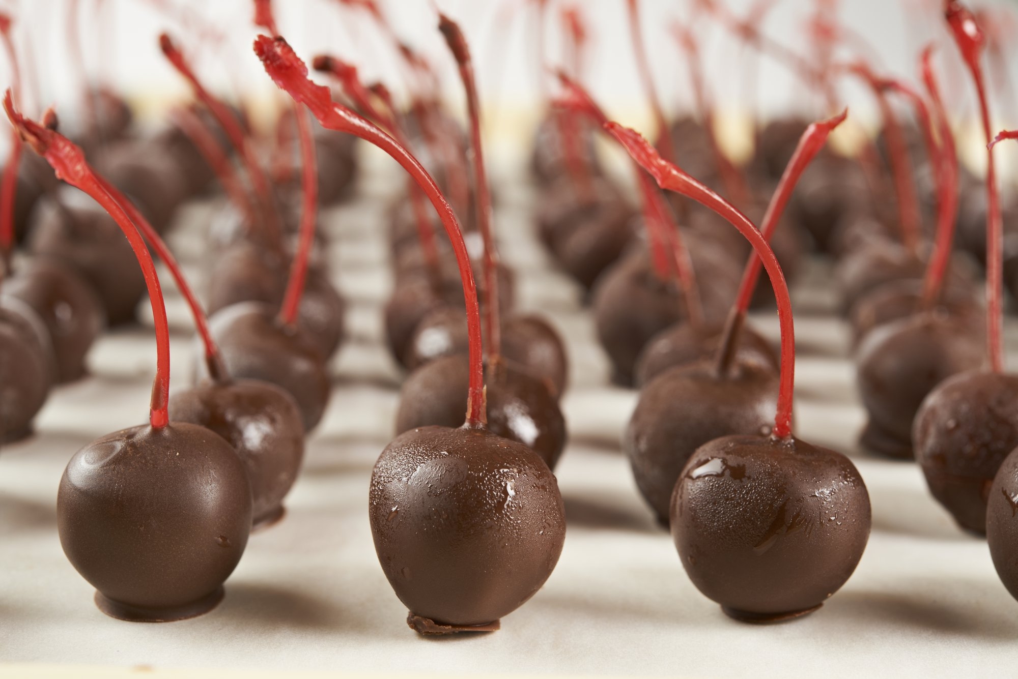 Chocolate Covered Cherry Day Days Of The Year 