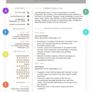 Chronological Resume Samples Writing Guide Rg