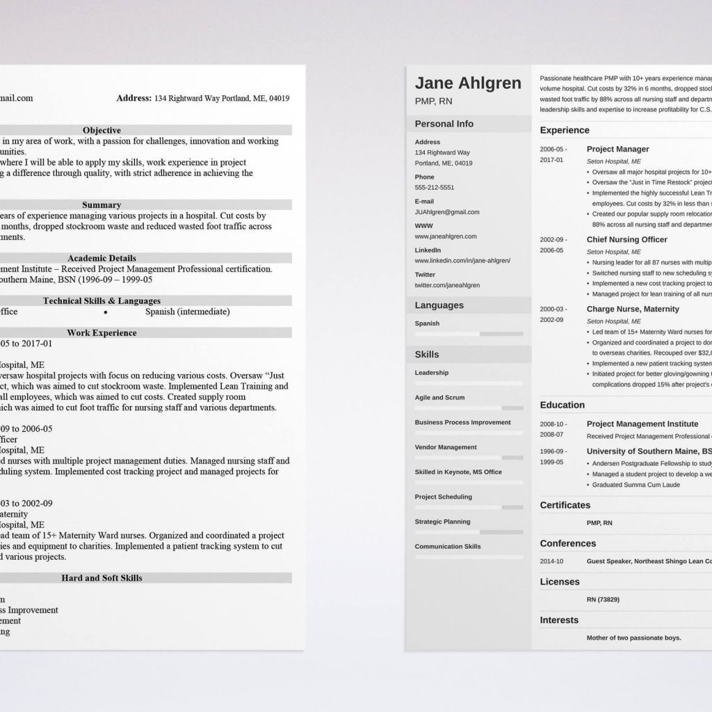 Chronological Resume Template 20 Examples Complete Guide