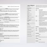 Chronological Resume Template 20 Examples Complete Guide