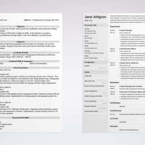 Chronological Resume Template 20 Examples Complete Guide