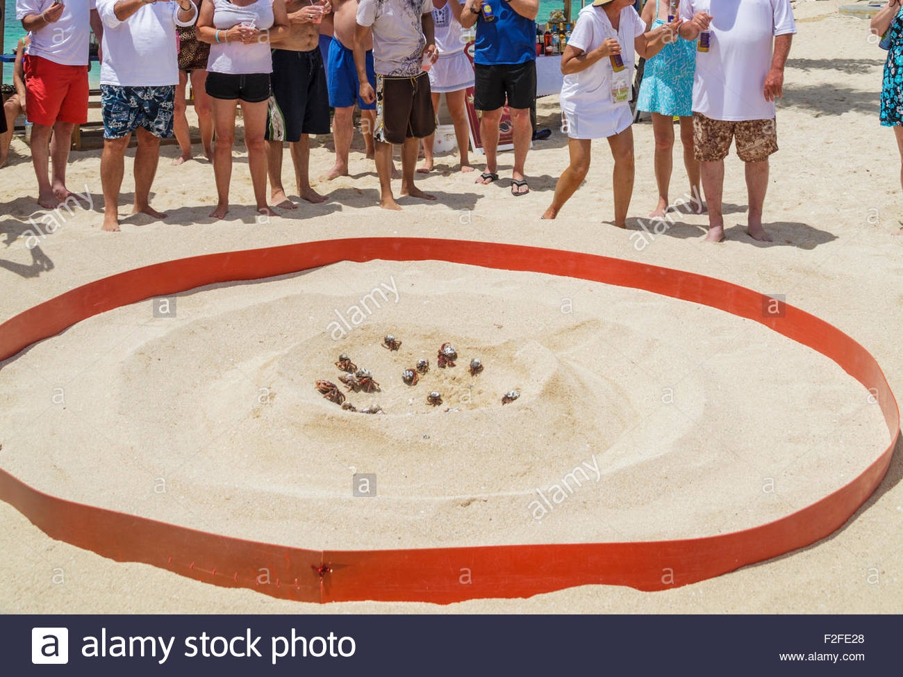 Crab Race Stock Photos Crab Race Stock Images Alamy 