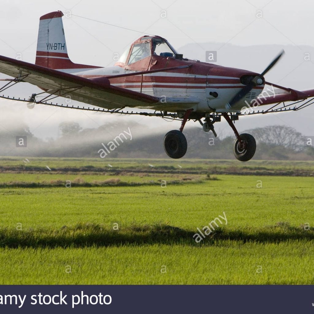 Cropduster Stock Photos Cropduster Stock Images Alamy