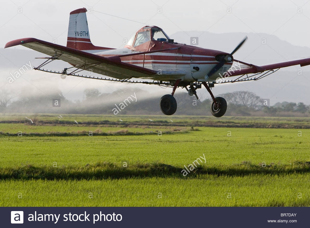 Cropduster Stock Photos Cropduster Stock Images Alamy 