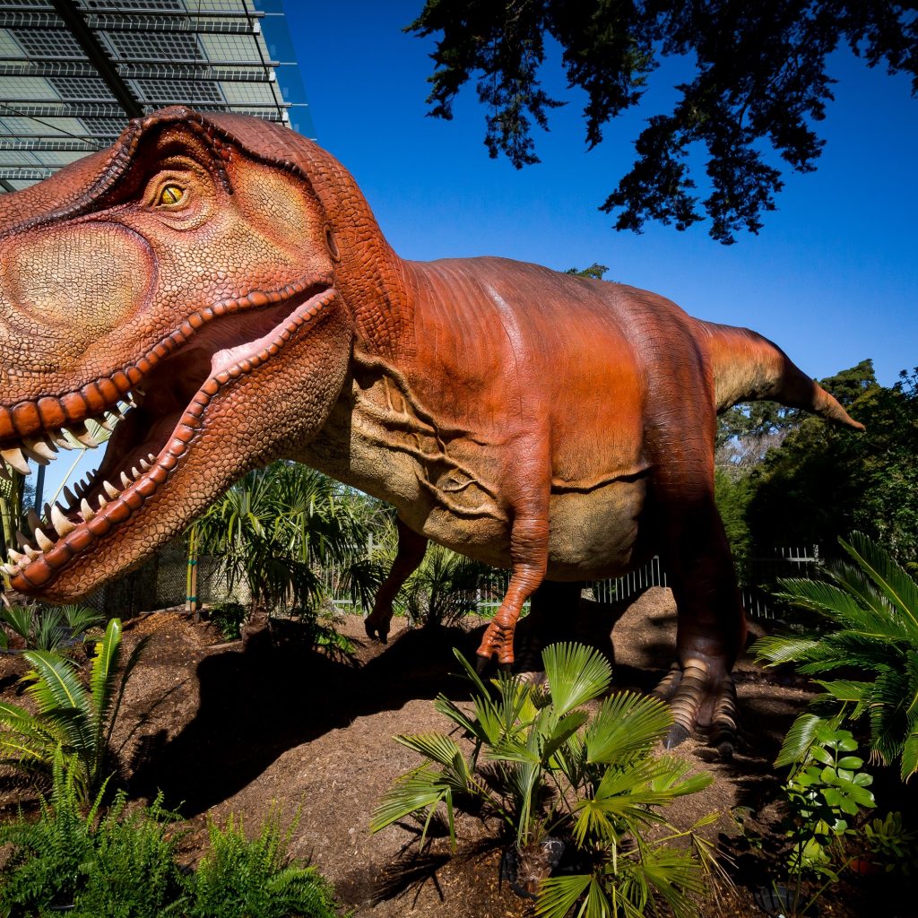 Dinosaurs Bust A Move At New Sf Academy Of Sciences Exhibit