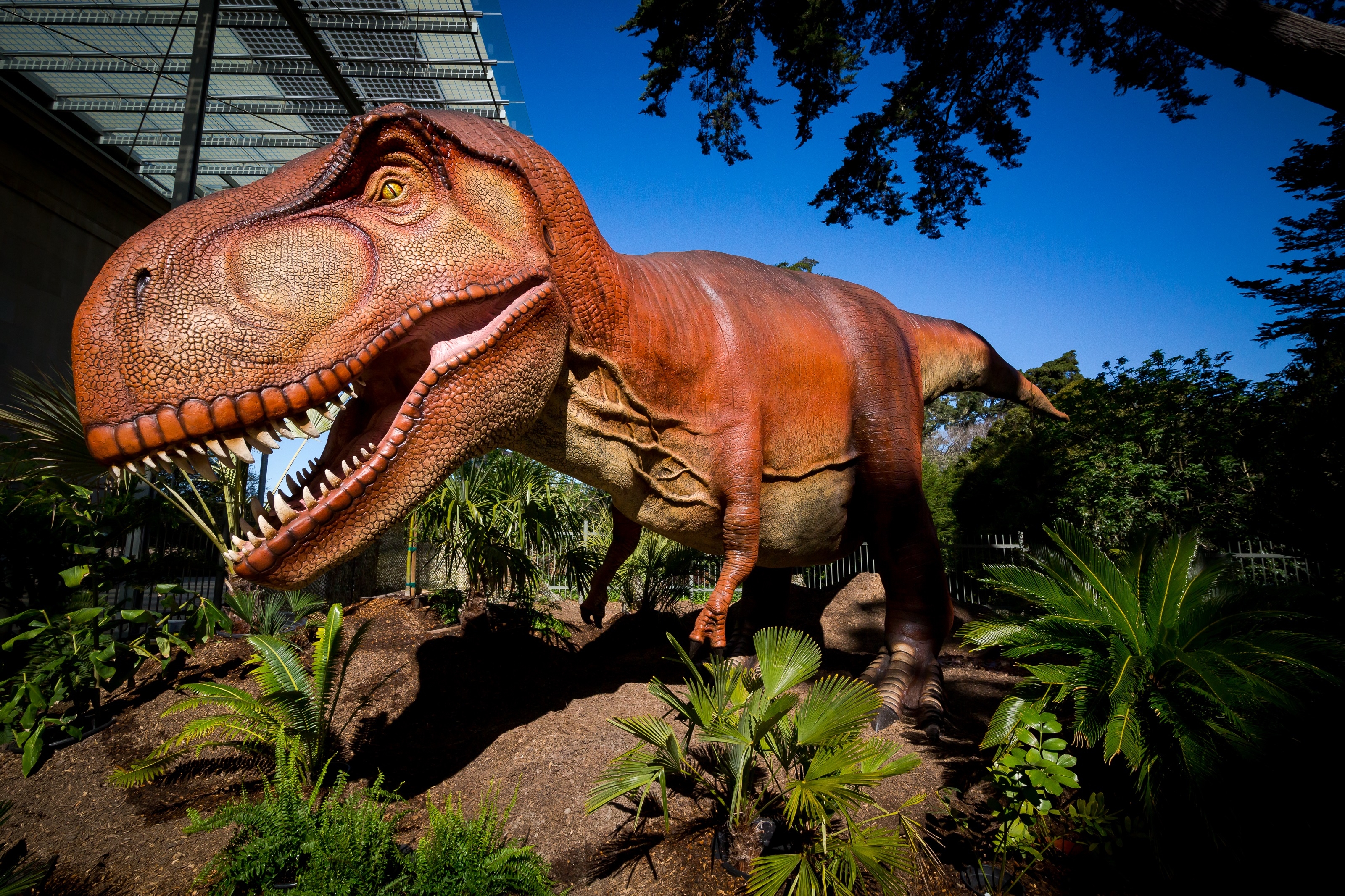 Dinosaurs Bust A Move At New Sf Academy Of Sciences Exhibit 