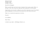 Download Standard Two 2 Weeks Notice Letter Template And Sample