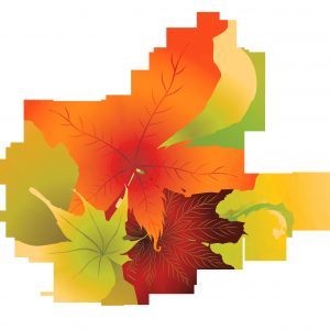 Fall Leaves Fall Leaf Clipart No Background Free Clipart Images