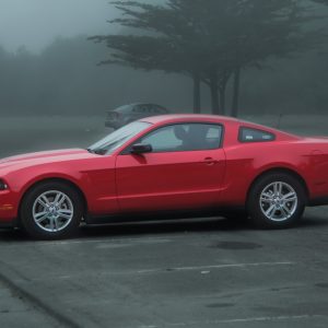 Ford Mustang Day Days Of The Year