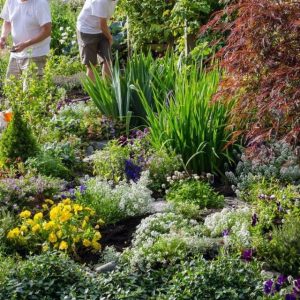 Gardening Could Be The Hob That Helps You Live To 100