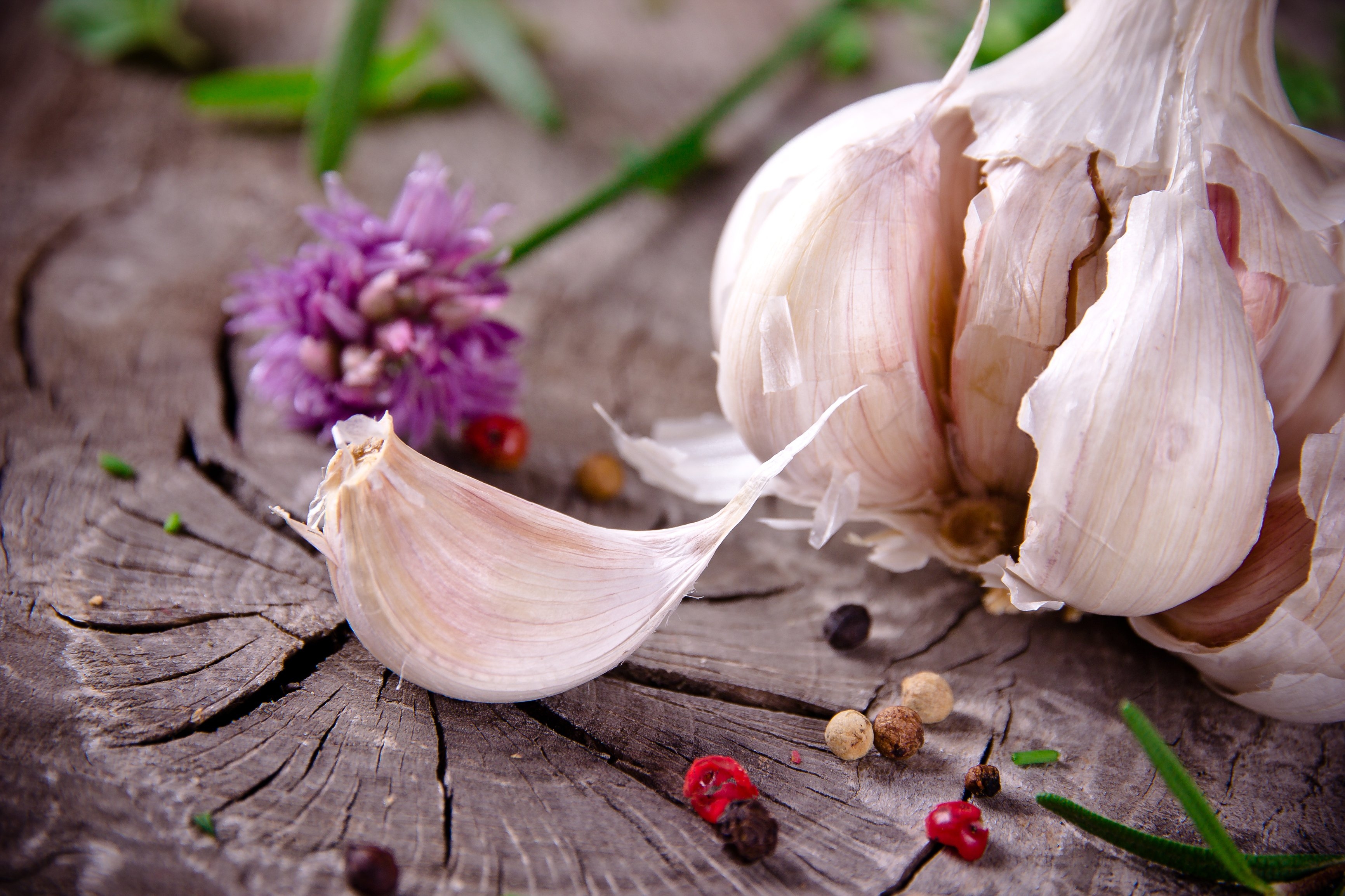 Garlic Day Days Of The Year