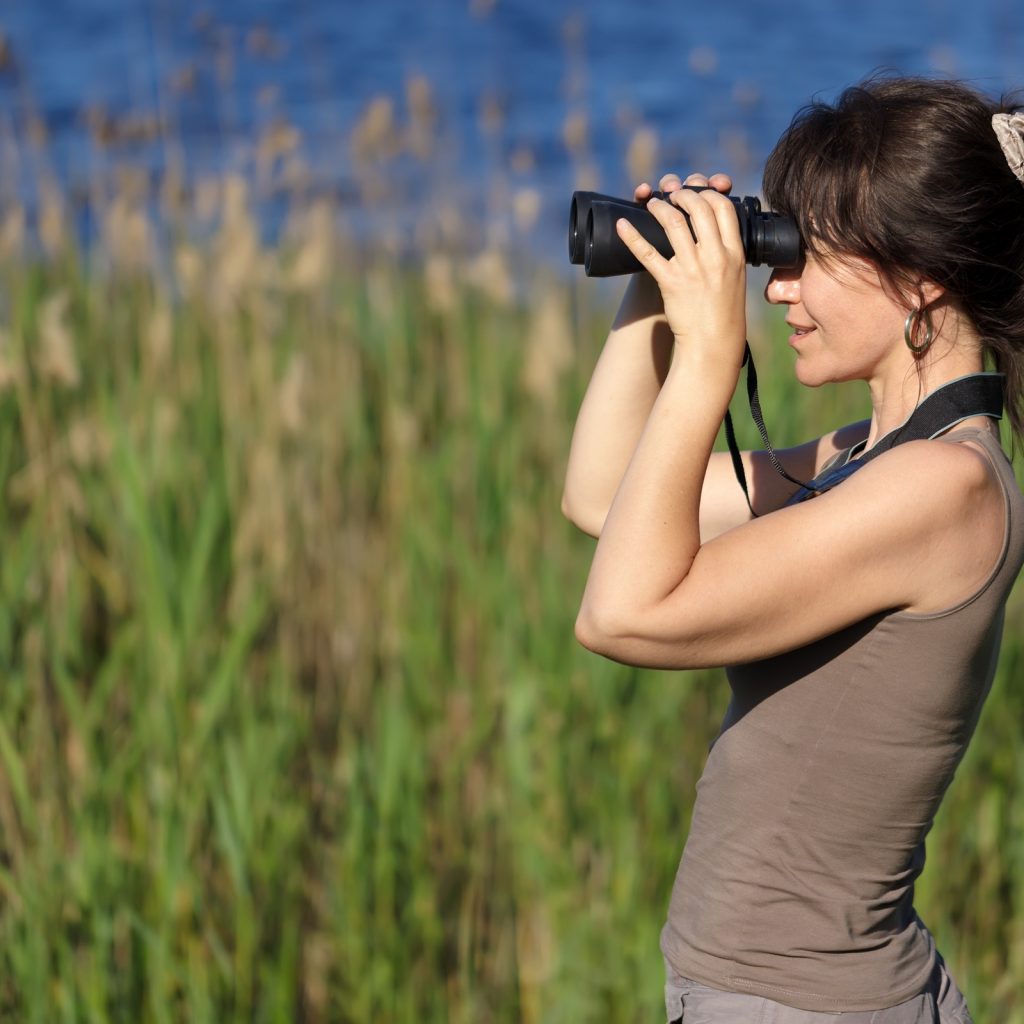 Go Birding Day Days Of The Year