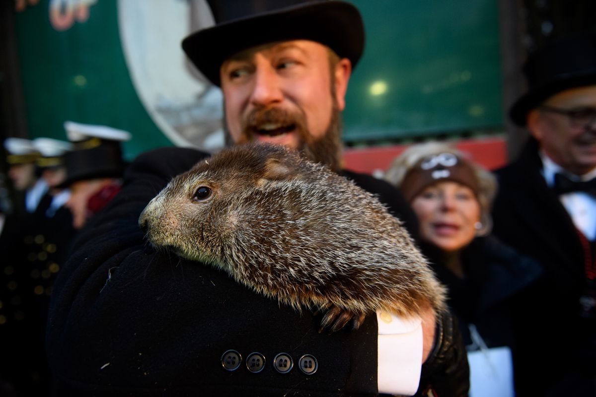 Groundhog Day 2019 Punxsutawney Phil Did Not See His Shadow Vox 