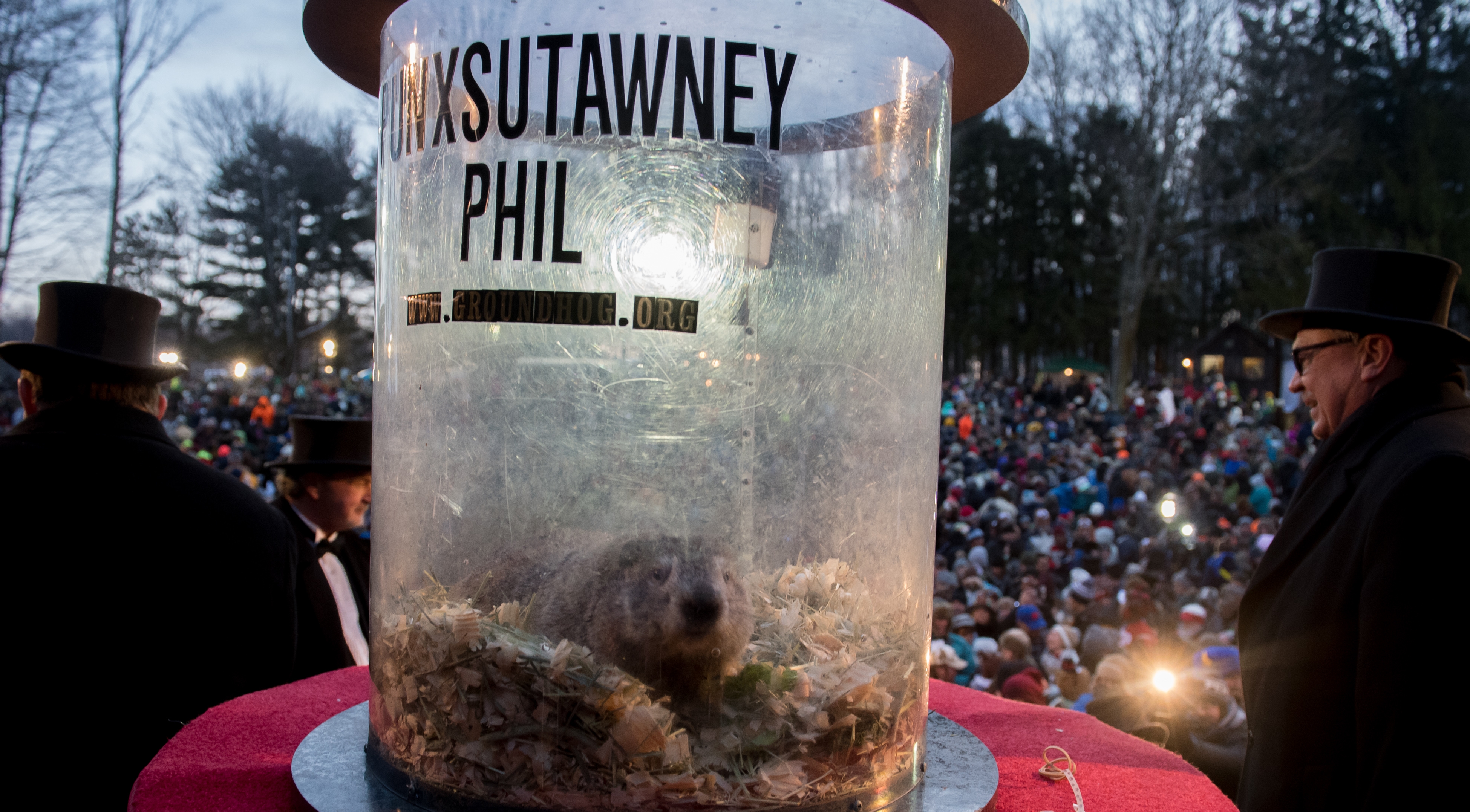 Heres Punxsutawney Phils Prediction For Groundhog Day 2019 Time 