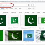 In Google Search Pakistan Flag Is The Best Toilet Paper In The