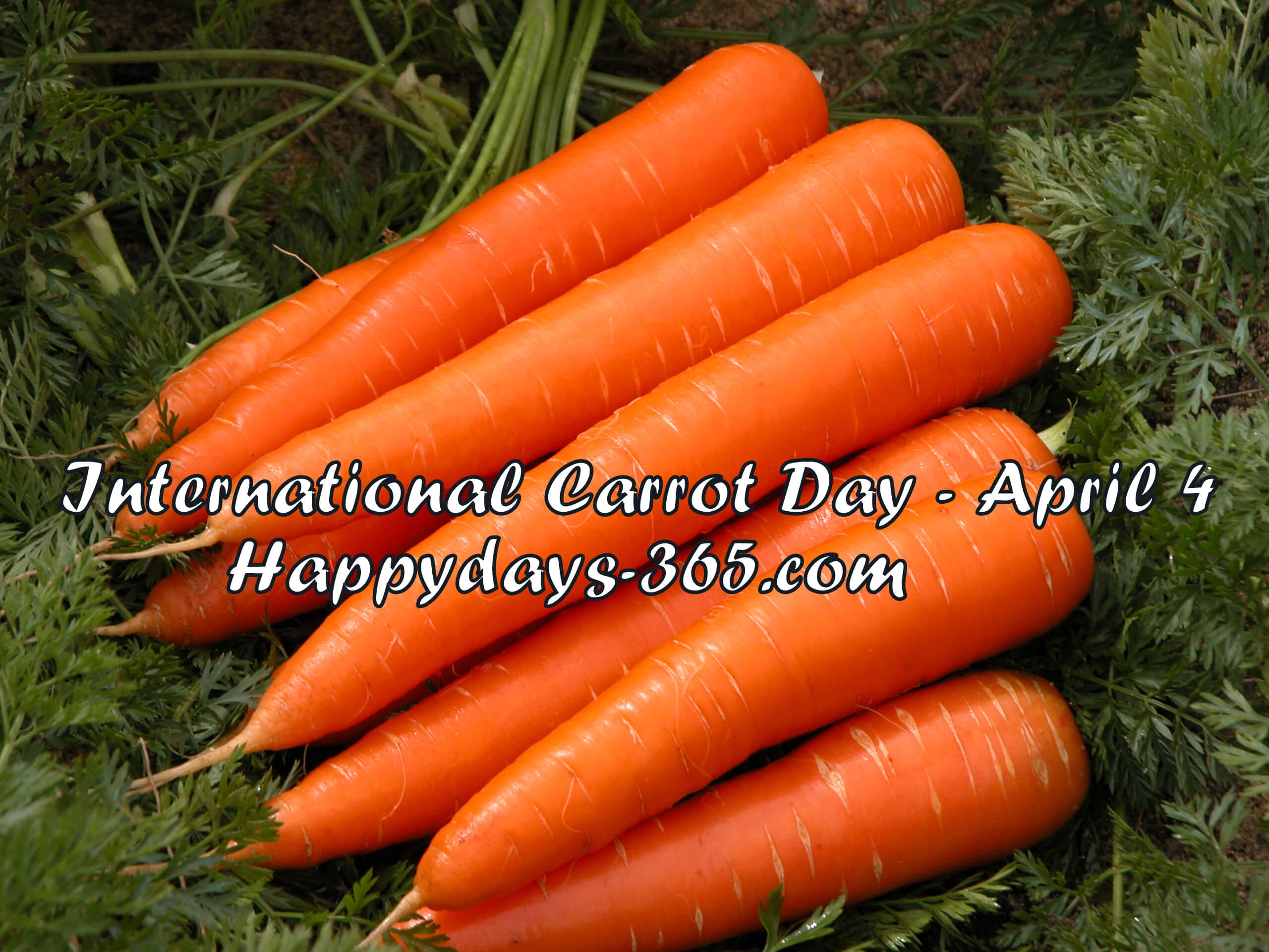 International Carrot Day April 4 2019 Happy Days 365