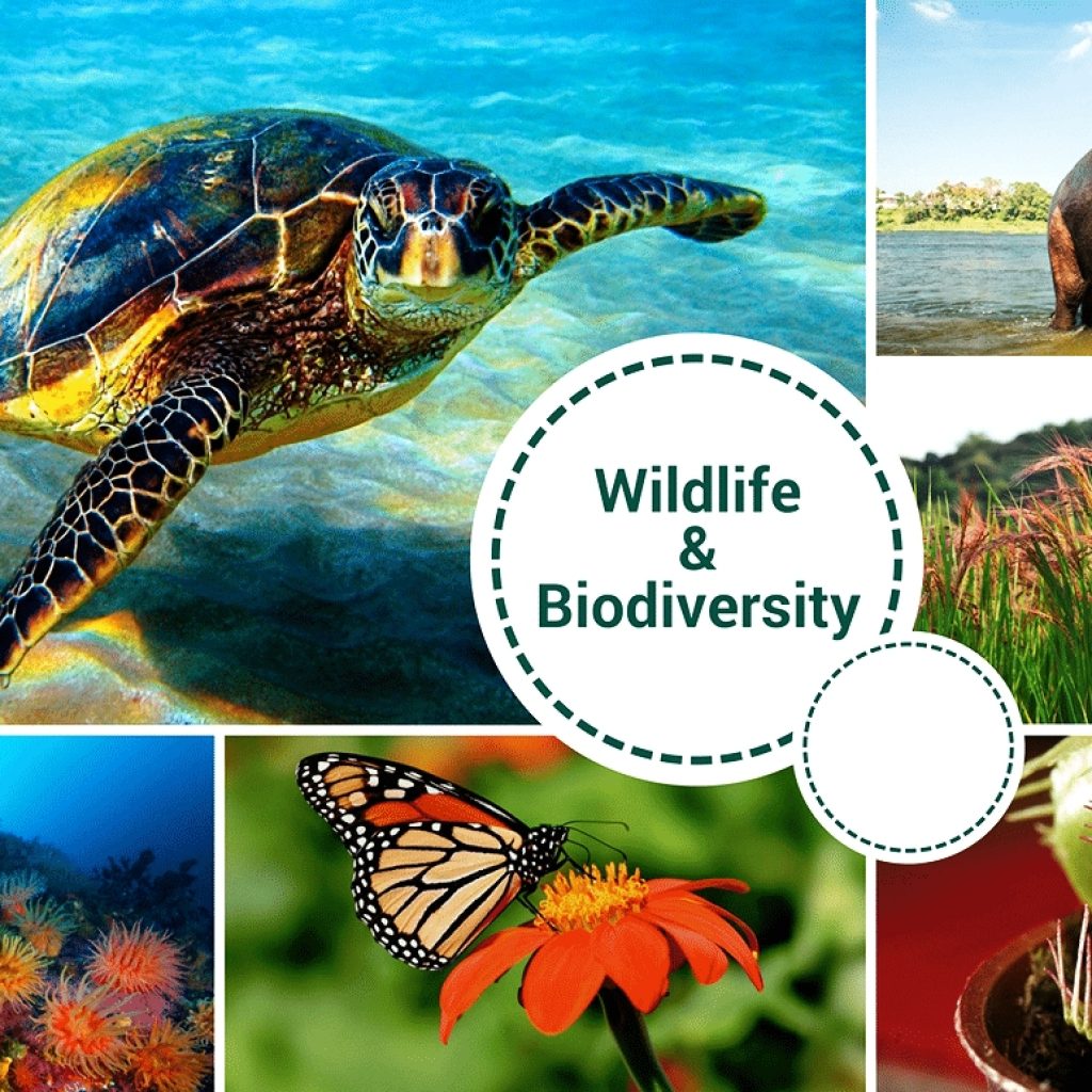 International Day For Biological Diversity Upcomevent