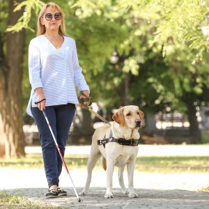 International Guide Dog Day April 24 2019 National Today