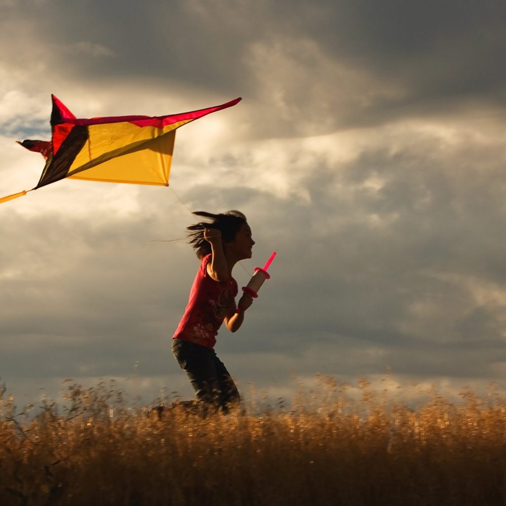 Kite Flying Day Days Of The Year