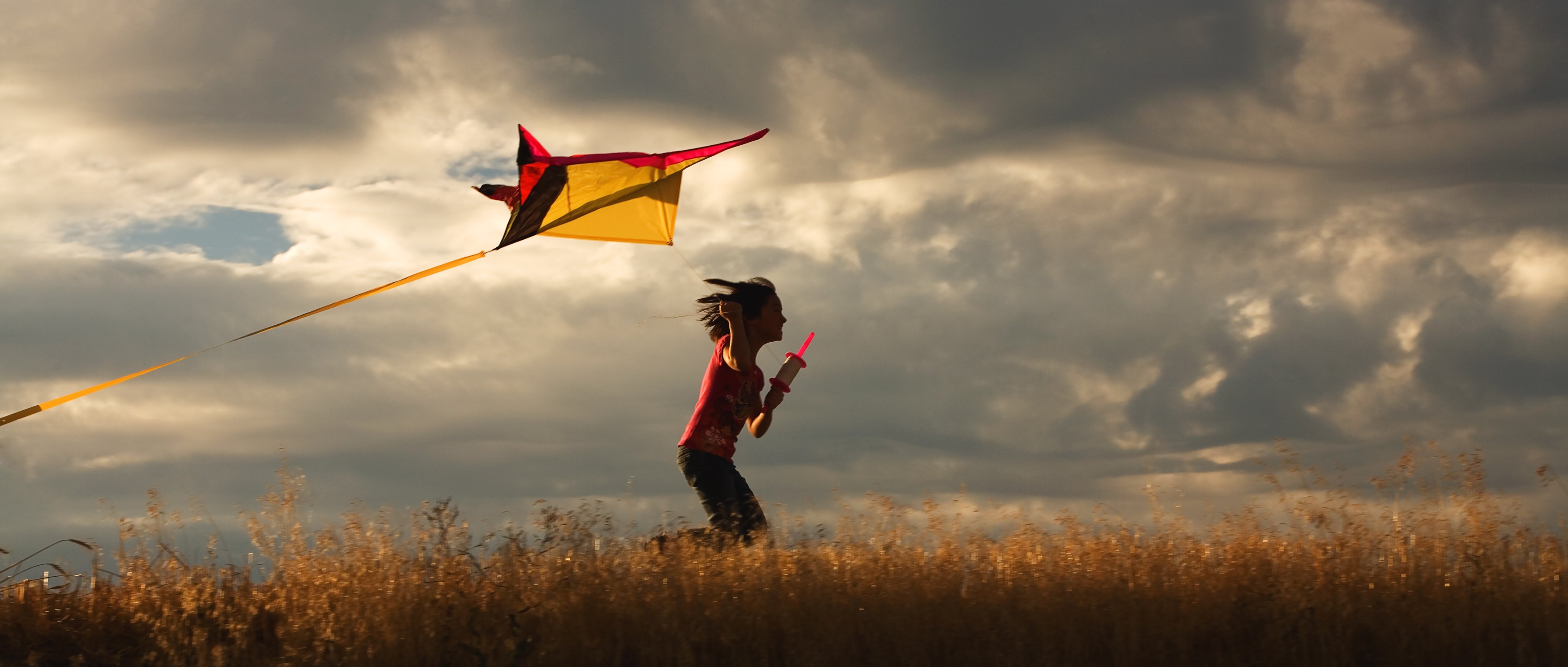 Kite Flying Day Days Of The Year