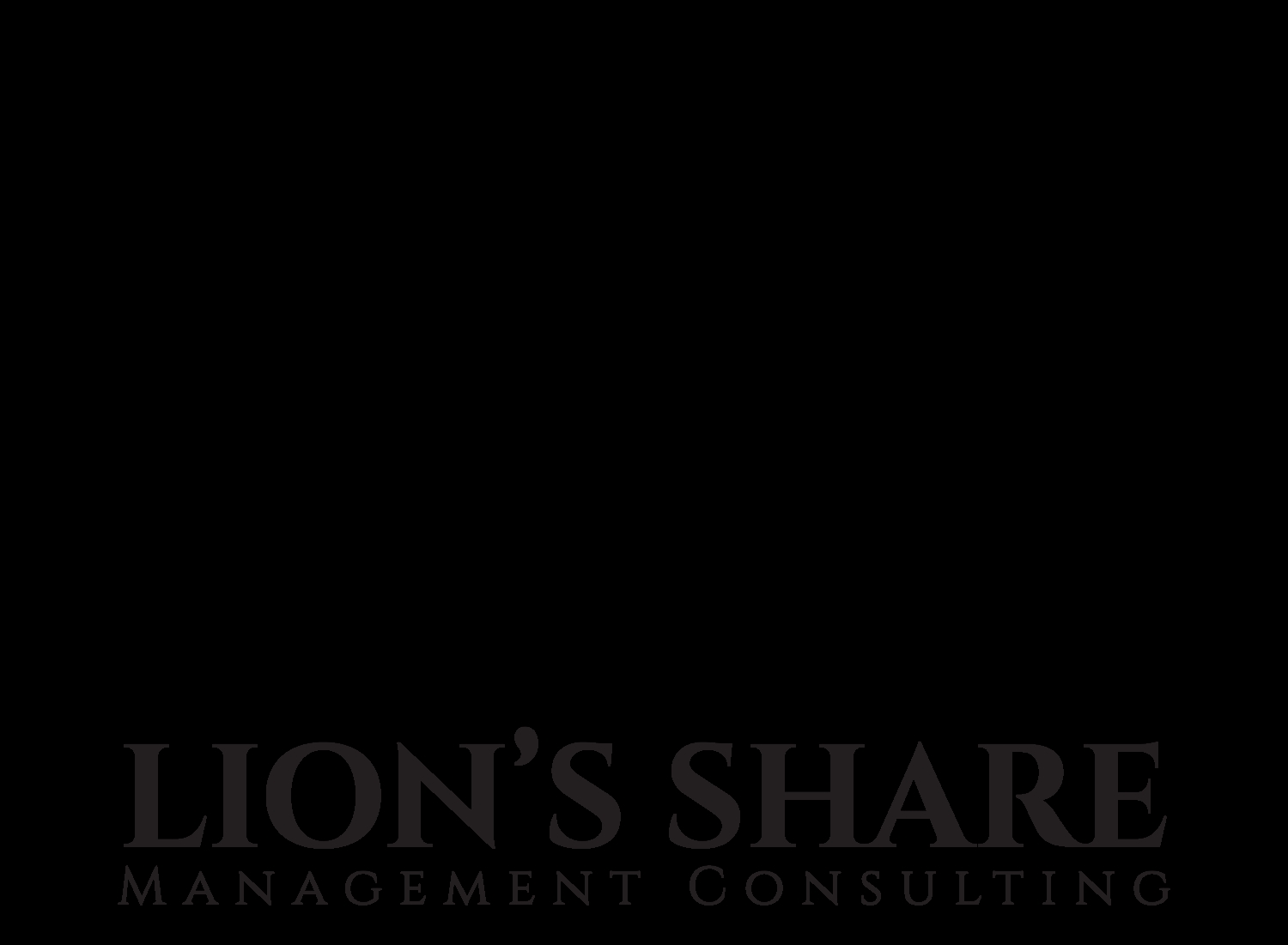 Lions Share Management Consulting