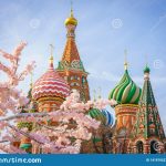 Moscow And St Basil Cathedral At Spring Day Through Flowering Tree